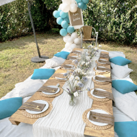 Pasadena_picnics_Birthday_picnicsetup_teal